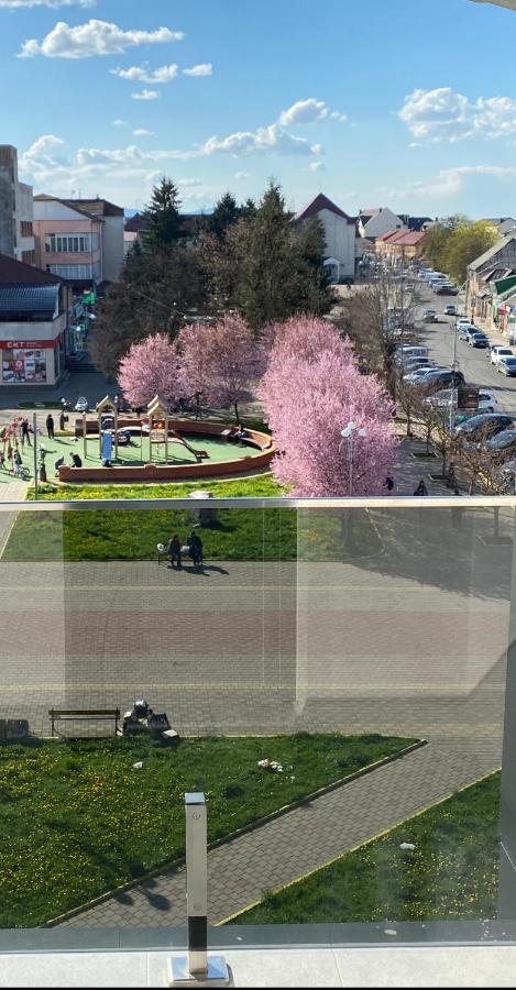 Готель Тячів Dış mekan fotoğraf