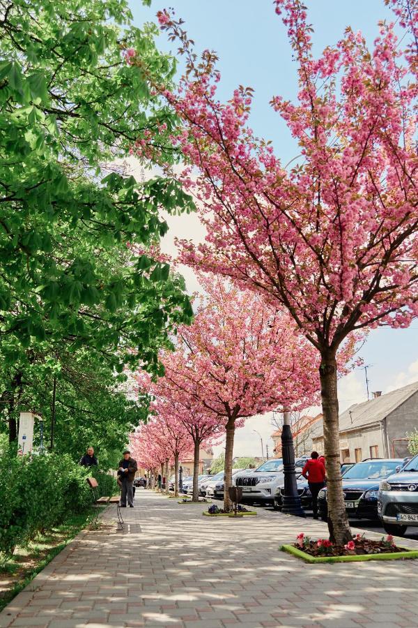 Готель Тячів Dış mekan fotoğraf